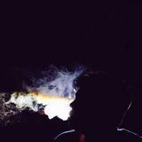 英格兰足球超级联赛官方标志，雄狮头像配蓝紫色盾牌